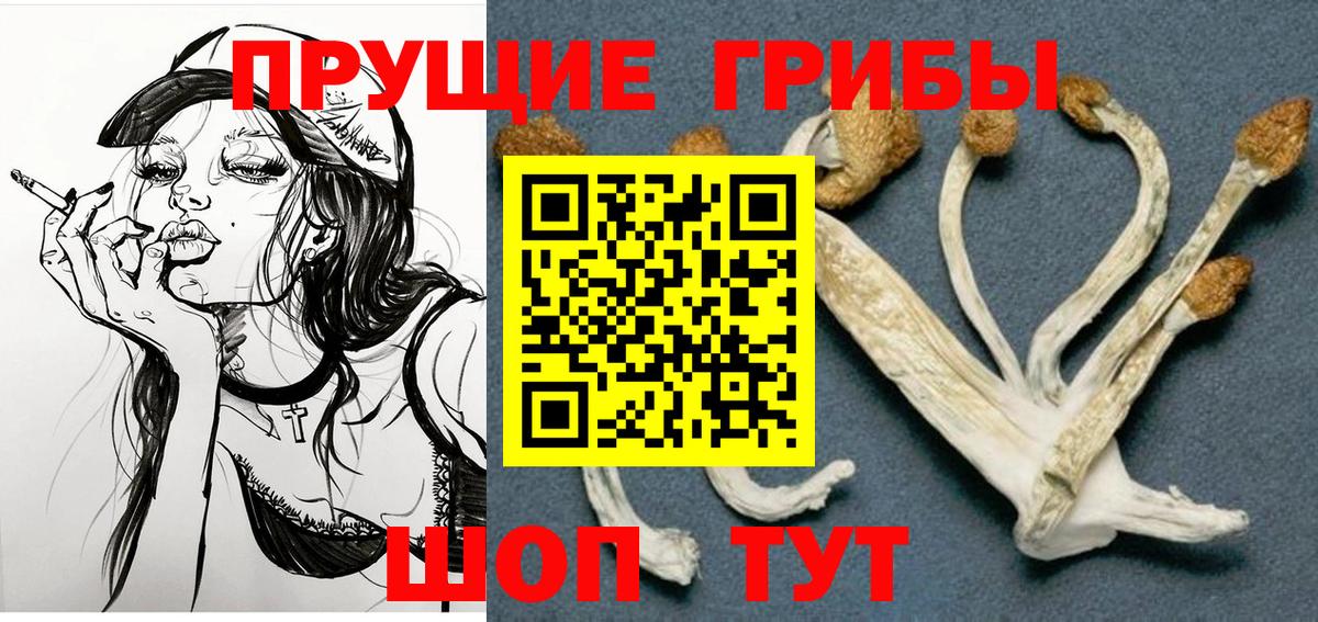Нарткала  Галлюциногенные грибы ЛСД  Псилоцибиновые грибы MAGIC MUSHROOMS  Вход с VPN 